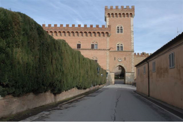 Bolgheri